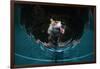 Fox drinking water from a sauna pool in a garden, Hungary-Milan Radisics-Framed Photographic Print