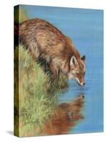 fox drinking-David Stribbling-Stretched Canvas
