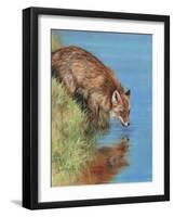 fox drinking-David Stribbling-Framed Art Print