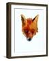 Fox face-Sarah Thompson-Engels-Framed Giclee Print