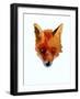 Fox face-Sarah Thompson-Engels-Framed Giclee Print