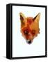 Fox face-Sarah Thompson-Engels-Framed Stretched Canvas