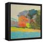 Fox Farm Woods-Mike Kelly-Framed Stretched Canvas