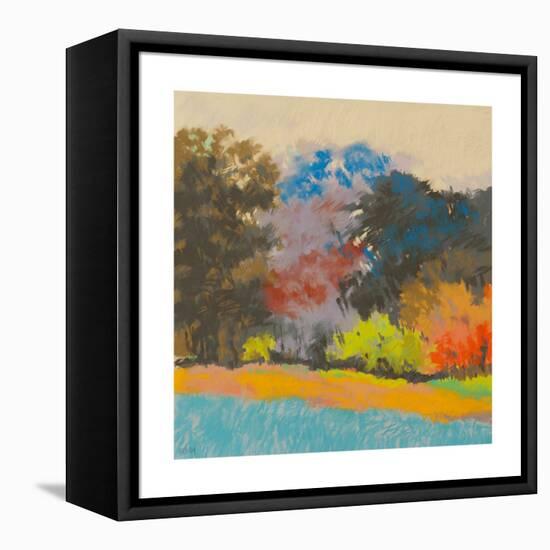 Fox Farms Woods 2-Mike Kelly-Framed Stretched Canvas