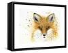 Fox Fire-Michelle Faber-Framed Stretched Canvas