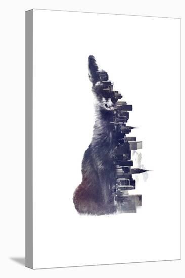 Fox from the City-Robert Farkas-Stretched Canvas