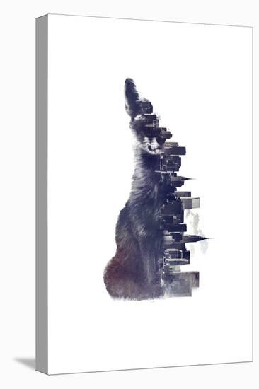 Fox from the City-Robert Farkas-Stretched Canvas