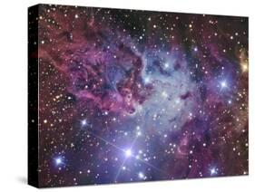 Fox Fur Nebula-Stocktrek Images-Stretched Canvas