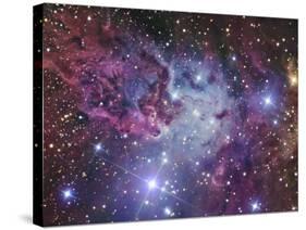 Fox Fur Nebula-Stocktrek Images-Stretched Canvas