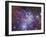 Fox Fur Nebula-Stocktrek Images-Framed Photographic Print