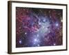 Fox Fur Nebula-Stocktrek Images-Framed Photographic Print