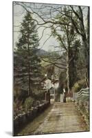Fox Ghyll, Ambleside, Lake District-null-Mounted Premium Photographic Print