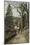 Fox Ghyll, Ambleside, Lake District-null-Mounted Photographic Print