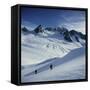 Fox Glacier and Mt. Tasman South Westland, New Zealand-null-Framed Stretched Canvas