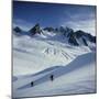 Fox Glacier and Mt. Tasman South Westland, New Zealand-null-Mounted Photographic Print