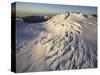 Fox Glacier-Paul Souders-Stretched Canvas