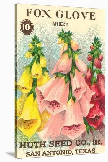 Fox Glove Seed Packet-null-Stretched Canvas