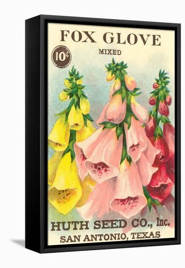 Fox Glove Seed Packet-null-Framed Stretched Canvas