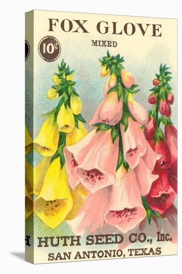 Fox Glove Seed Packet-null-Stretched Canvas