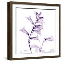 Fox glove-Albert Koetsier-Framed Art Print