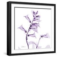 Fox glove-Albert Koetsier-Framed Art Print