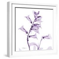 Fox glove-Albert Koetsier-Framed Art Print