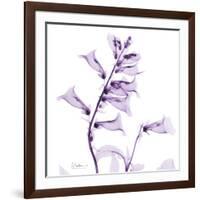 Fox glove-Albert Koetsier-Framed Art Print