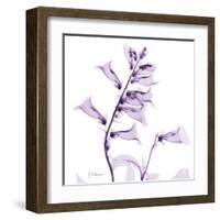 Fox glove-Albert Koetsier-Framed Art Print