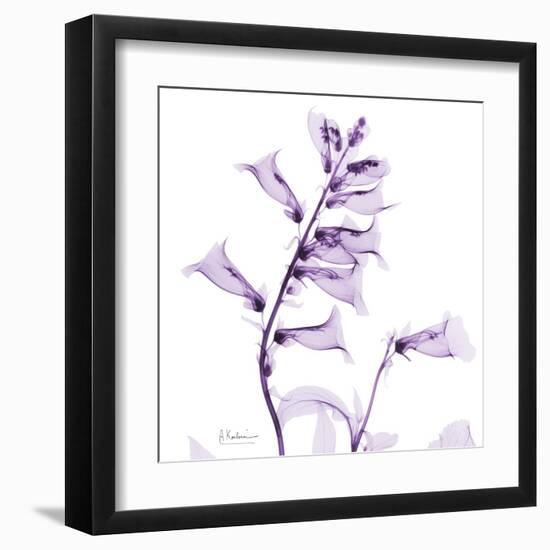 Fox glove-Albert Koetsier-Framed Art Print