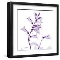 Fox glove-Albert Koetsier-Framed Art Print