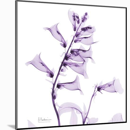 Fox glove-Albert Koetsier-Mounted Art Print