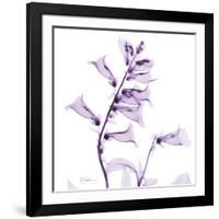 Fox glove-Albert Koetsier-Framed Art Print