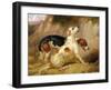 Fox Hounds, Fox Gone To Earth, 1844-Thomas Woodward-Framed Giclee Print