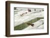 Fox Hunt C1910-Chris Hellier-Framed Photographic Print