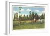 Fox Hunt, Southern Pines, North Carolina-null-Framed Premium Giclee Print