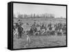 Fox Hunt-null-Framed Stretched Canvas