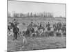 Fox Hunt-null-Mounted Photographic Print