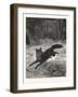 Fox-Hunting: Breaking Cover., Fox, Hunt, Hunting, 1876, UK-null-Framed Giclee Print