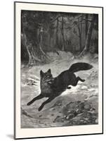 Fox-Hunting: Breaking Cover., Fox, Hunt, Hunting, 1876, UK-null-Mounted Giclee Print