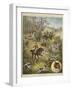 Fox Hunting-null-Framed Giclee Print