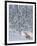 Fox in Snow-Harro Maass-Framed Giclee Print