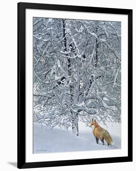Fox in Snow-Harro Maass-Framed Giclee Print