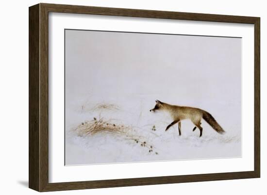 Fox in Snow-Jane Neville-Framed Giclee Print