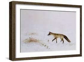 Fox in Snow-Jane Neville-Framed Giclee Print