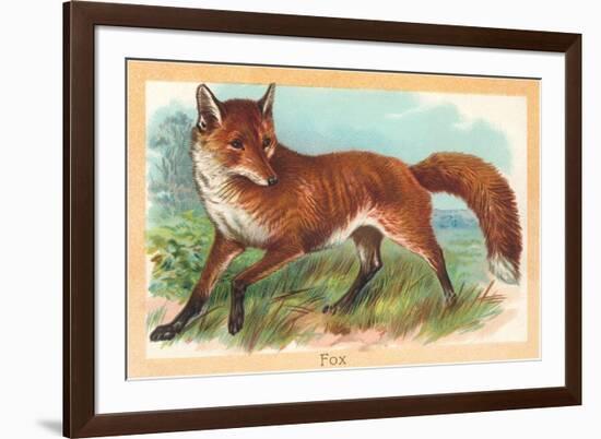 Fox in the Meadow-null-Framed Art Print