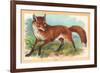 Fox in the Meadow-null-Framed Art Print