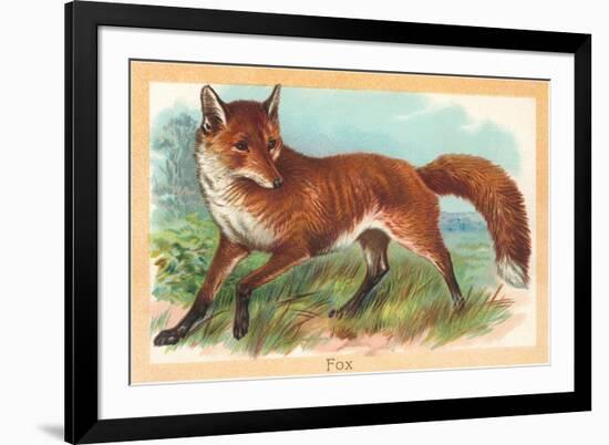 Fox in the Meadow-null-Framed Art Print