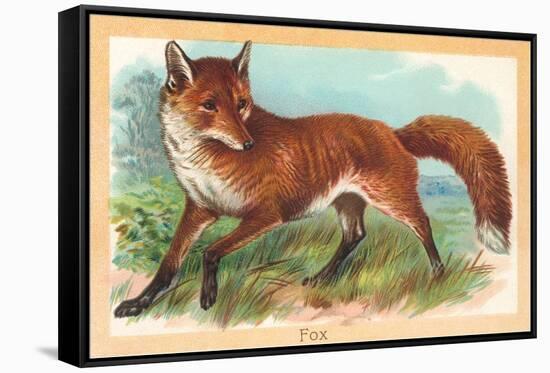 Fox in the Meadow-null-Framed Stretched Canvas