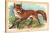 Fox in the Meadow-null-Stretched Canvas