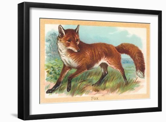Fox in the Meadow-null-Framed Art Print
